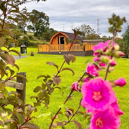 Cairnfold Cabins Kilsyth Exteriör bild
